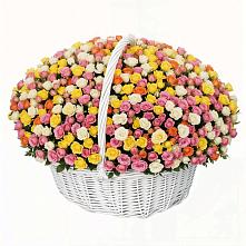 Премиум букет из: Розы в Славгороде