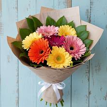 Букет цветов из:  Герберы в Славгороде