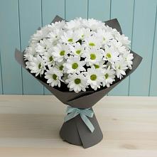 Букет цветов из:  Хризантемы в Славгороде
