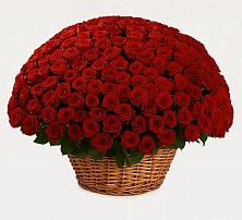 Премиум букет из: Розы в Славгороде